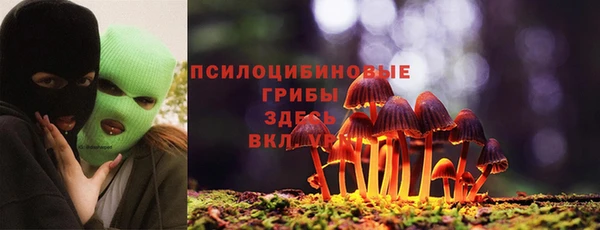 марки lsd Снежинск