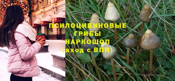 твердый Слюдянка