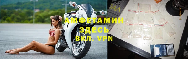 apvp Снежногорск