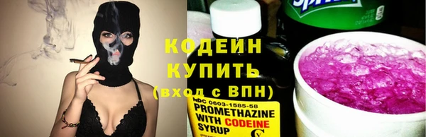 apvp Снежногорск