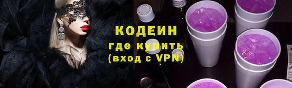 apvp Снежногорск