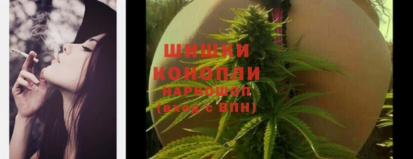 ECSTASY Сосновоборск