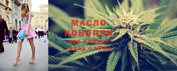 apvp Снежногорск