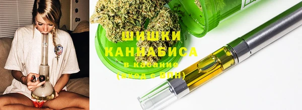apvp Снежногорск