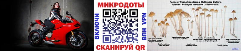 Псилоцибиновые грибы Magic Shrooms  магазин продажи   Строитель 