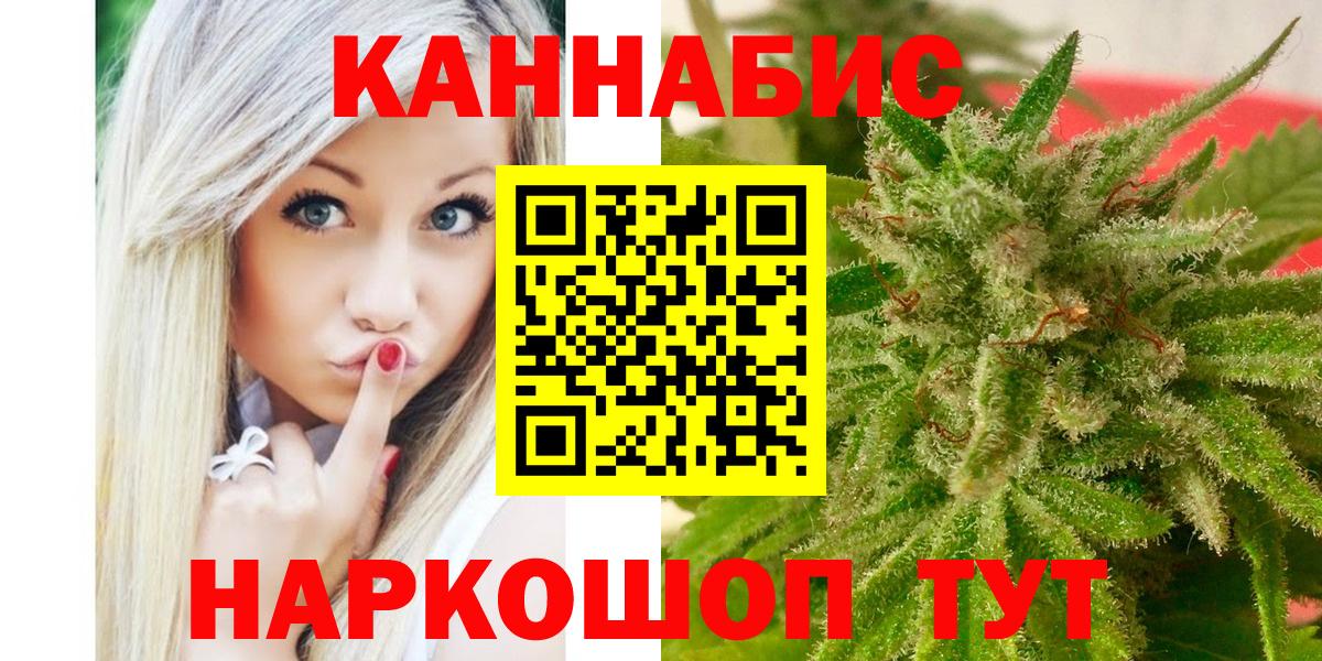 Конопля гибрид Строитель